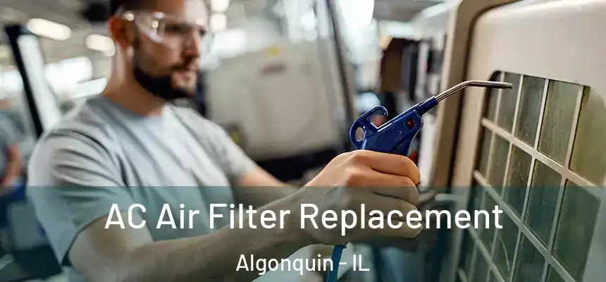  AC Air Filter Replacement Algonquin - IL