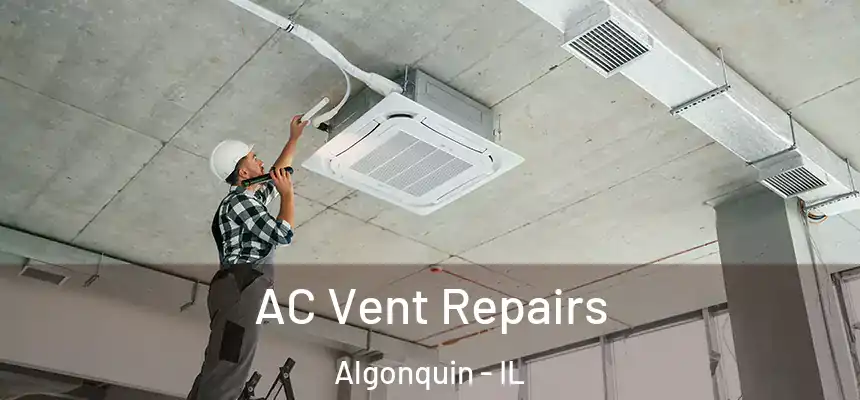  AC Vent Repairs Algonquin - IL