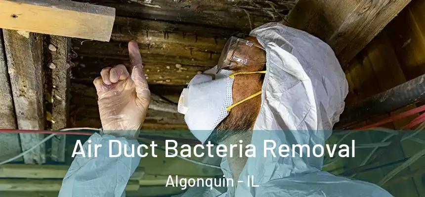  Air Duct Bacteria Removal Algonquin - IL