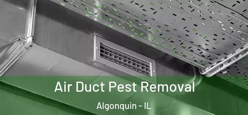 Air Duct Pest Removal Algonquin - IL
