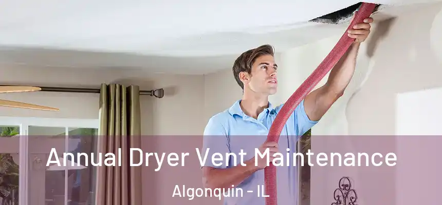 Annual Dryer Vent Maintenance Algonquin - IL