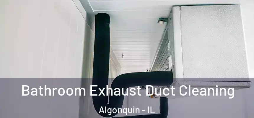 Bathroom Exhaust Duct Cleaning Algonquin - IL