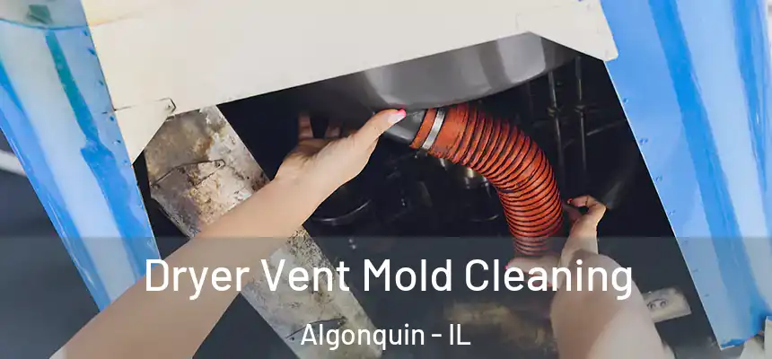 Dryer Vent Mold Cleaning Algonquin - IL