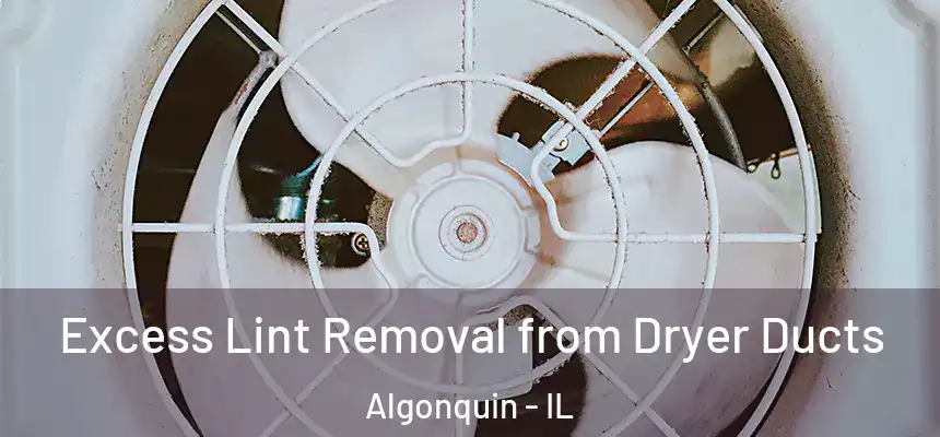 Excess Lint Removal from Dryer Ducts Algonquin - IL