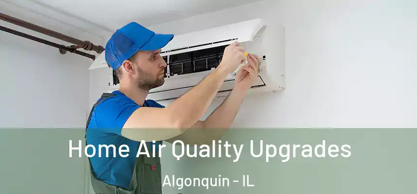 Home Air Quality Upgrades Algonquin - IL