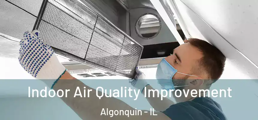 Indoor Air Quality Improvement Algonquin - IL