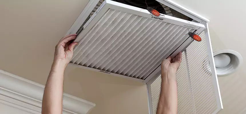 Preventive Cockroach-Proofing for Ducts in Algonquin