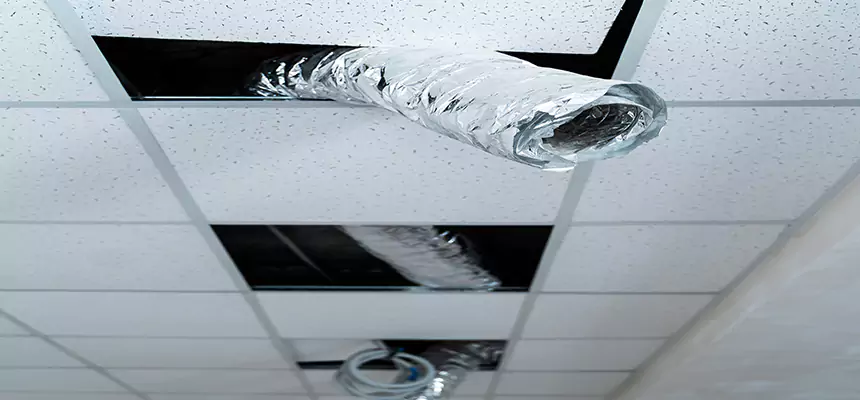 Our Air Duct Pet Hair Removal Services in Algonquin, IL