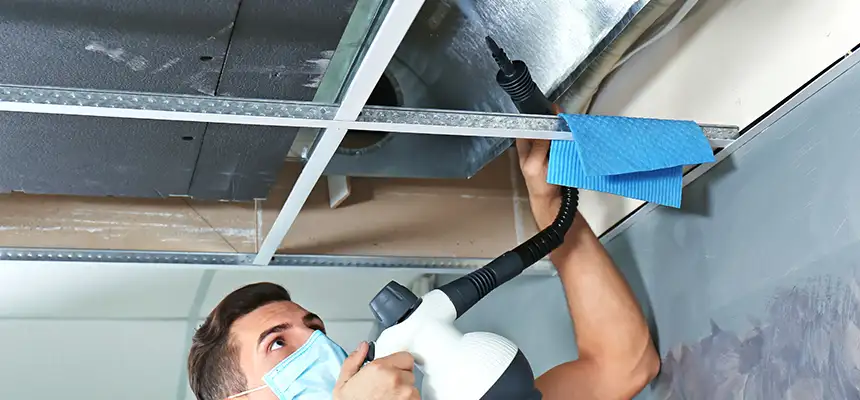 Our Air Duct Rodent Removal Services in Algonquin, IL
