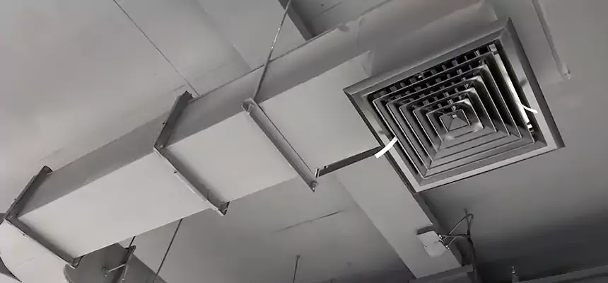 Restorative Allergy Relief Vent Cleaning – Coil, Blower & Housing Detail in Algonquin