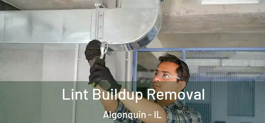  Lint Buildup Removal Algonquin - IL