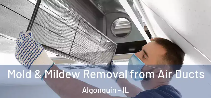 Mold & Mildew Removal from Air Ducts Algonquin - IL
