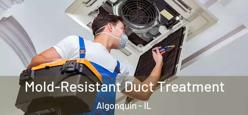 Mold-Resistant Duct Treatment Algonquin - IL