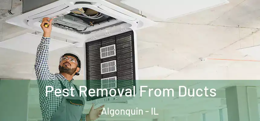  Pest Removal From Ducts Algonquin - IL