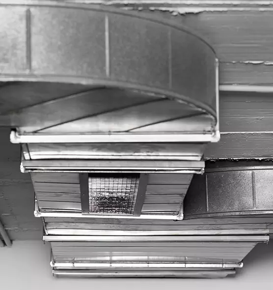 Professional Air Duct Pet Hair Removal in Algonquin, IL