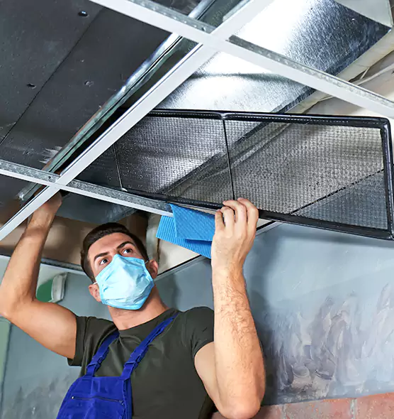 Professional Air Duct Pollen Cleaning in Algonquin, IL