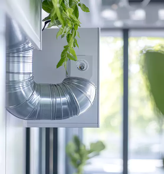 Professional Eco-Safe Dryer Vent Cleaning in Algonquin, IL