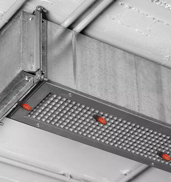 Affordable Insect Removal from Air Ducts in Algonquin, IL