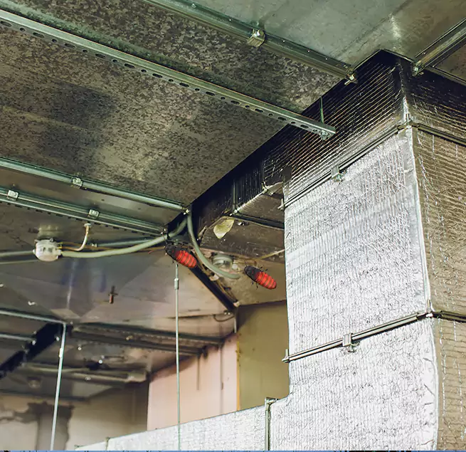 Why Homeowners & Businesses Trust Us in Algonquin, IL?