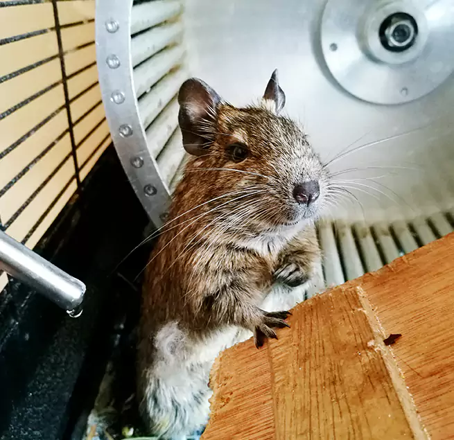 Why Homeowners & Businesses Trust Us Algonquin, IL?