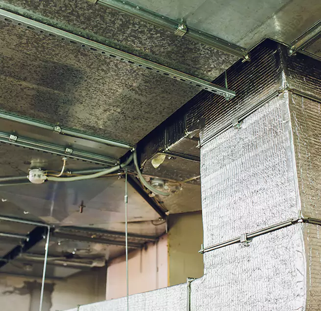 Why Homeowners & Businesses Trust Us in Algonquin, IL?