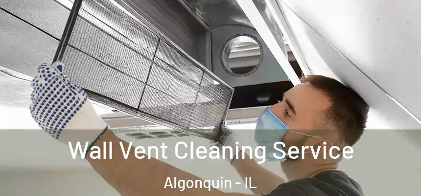 Wall Vent Cleaning Service Algonquin - IL